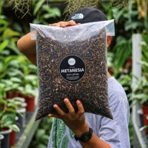 Metanesia Black Edition – Media Tanam Premium Porositas Seimbang