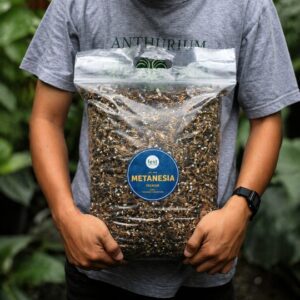 Metanesia Premium – Media Tanam Khusus Tanaman Variegata